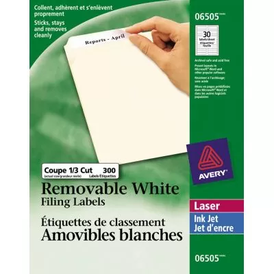 Étiquettes pour dossier Avery®, 3-7/16 x 2/3", blanc, pqt de 300, 06505