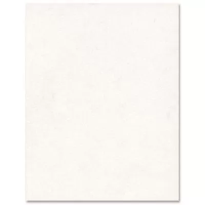 Carton bristo 22 x 28 blanc